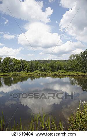 Lake among trees View Large Photo Image Picture - Lake among trees. Fotosearch