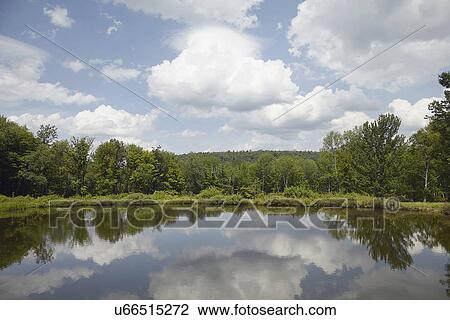 Lake among trees View Large Photo Image Stock Image - Lake among trees. Fotosearch