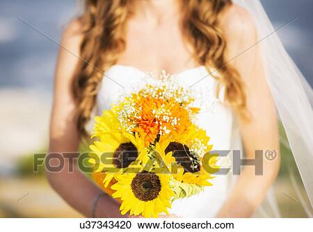 Mid section of bride holding sunflower bouquet View Large Photo Image Stock Image - Mid section of bride holding sunflower bouquet. Fotosearch