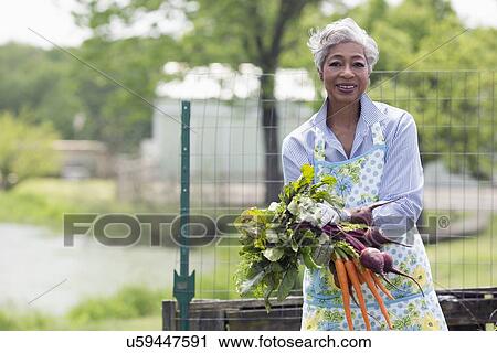 Stock Image - Portrait of senior woman holding carrots and beetroot. Fotosearch