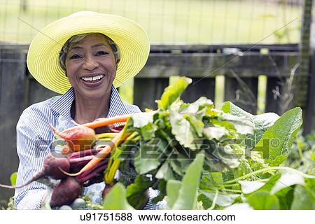 Portrait of senior woman holding carrots and beetroot View Large Photo Image Stock Photo - Portrait of senior woman holding carrots and beetroot. Fotosearch