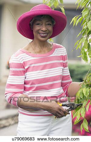 Portrait of senior woman pruning branch View Large Photo Image Stock Image - Portrait of senior woman pruning branch. Fotosearch