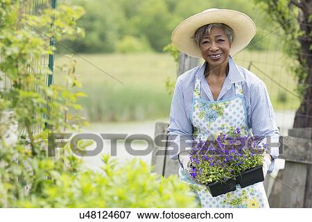 Portrait of senior woman working in garden View Large Photo Image Stock Photo - Portrait of senior woman working in garden. Fotosearch