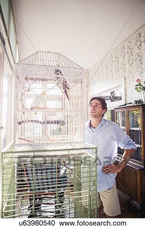 Portrait of young man standing by bird cage and looking at parrot View Large Photo Image Stock Image - Portrait of young man standing by bird cage and looking at parrot. Fotosearch