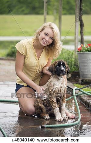 Stock Image - Portrait of young woman washing her dog. Fotosearch
