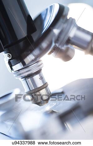 Studio shot of microscope, close-up View Large Photo Image Stock Photo - Studio shot of microscope, close-up. Fotosearch