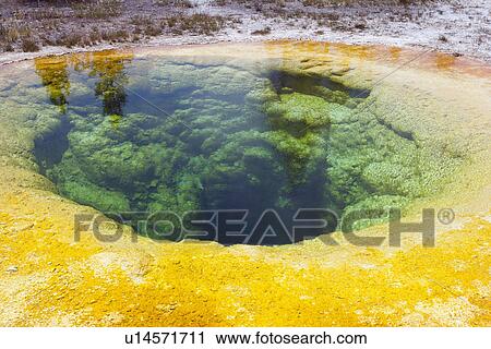 Stock Image - Upper Geyser Basin. Fotosearch