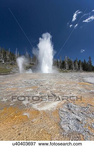 Upper Geyser Basin View Large Photo Image Stock Photo - Upper Geyser Basin. Fotosearch
