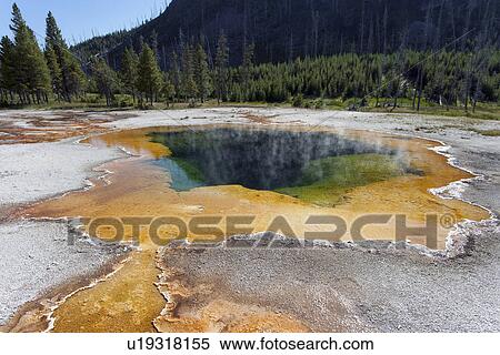Upper Geyser Basin View Large Photo Image Stock Photography - Upper Geyser Basin. Fotosearch