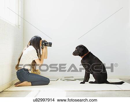 Woman photographing dog in studio View Large Photo Image Picture - Woman photographing dog in studio. Fotosearch