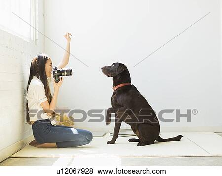 Woman photographing dog in studio View Large Photo Image Stock Photo - Woman photographing dog in studio. Fotosearch