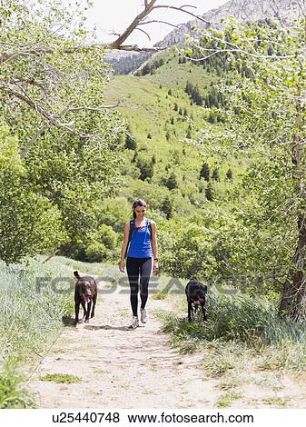 Woman with two dogs hiking in landscape View Large Photo Image Stock Photo - Woman with two dogs hiking in landscape. Fotosearch