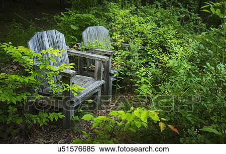 Wooden chairs in greenery View Large Photo Image Stock Photography - Wooden chairs in greenery. Fotosearch