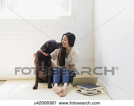 Young woman with labrador View Large Photo Image Stock Photo - Young woman with labrador. Fotosearch