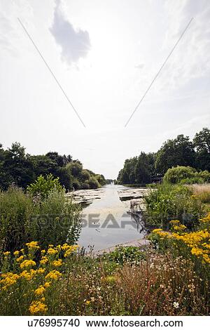 Stock Image - Beautiful park. Fotosearch