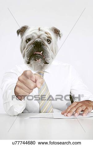 Stock Image - British Bulldog Businessman pointing at the camera. Fotosearch