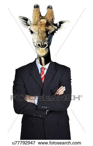 Stock Photo - Business man dressed as giraffe. Fotosearch