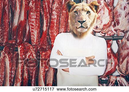 Stock Photo - Butcher with a lion head with arms folded standing in front of red meat . Fotosearch