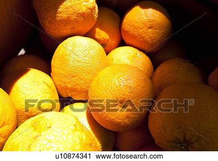 Close of oranges View Large Photo Image Stock Image - Close of oranges . Fotosearch