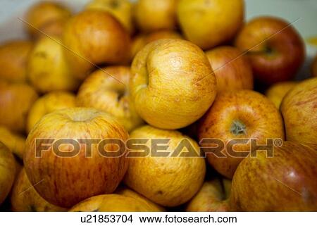 Picture - Close-up of apples in grocery store. Fotosearch