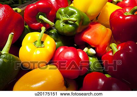 Close up of bell peppers View Large Photo Image Stock Image - Close up of bell peppers. Fotosearch