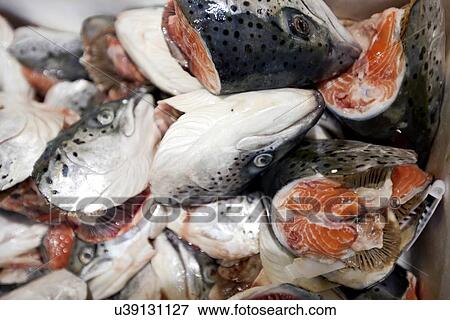 Stock Photo - Close-up of chopped fishes in market. Fotosearch
