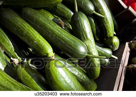 Stock Image - Close up of cucumber. Fotosearch