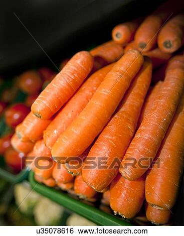 Close-up of fresh carrots in supermarket View Large Photo Image Stock Photograph - Close-up of fresh carrots in supermarket. Fotosearch