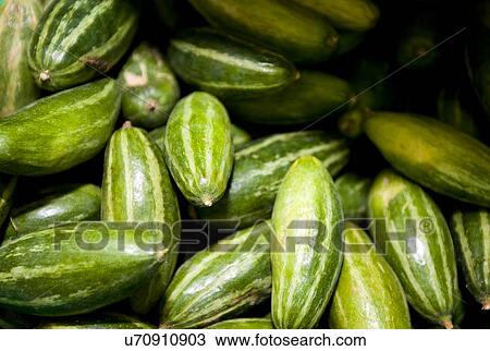 Close-up of fresh cucumbers in grocery store View Large Photo Image Stock Image - Close-up of fresh cucumbers in grocery store. Fotosearch