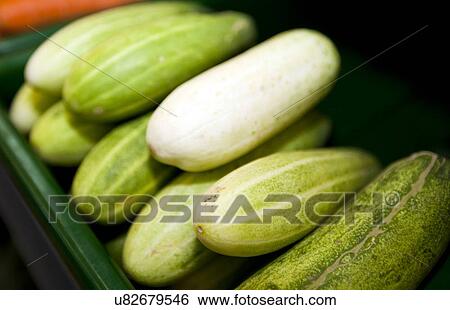 Close-up of fresh cucumbers in supermarket View Large Photo Image Stock Photograph - Close-up of fresh cucumbers in supermarket. Fotosearch