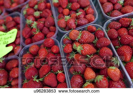 Close-up of fresh strawberries on display in store View Large Photo Image Stock Image - Close-up of fresh strawberries on display in store. Fotosearch