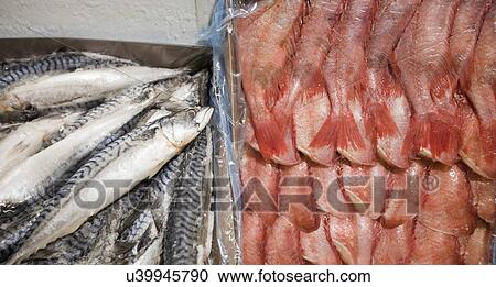 Stock Image - Close-up of freshly caught fishes in container. Fotosearch