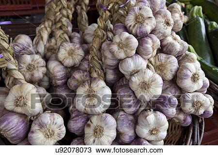Close-up of garlic bulb in market View Large Photo Image Stock Image - Close-up of garlic bulb in market. Fotosearch