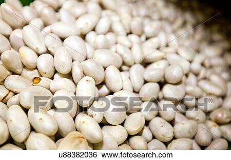 Stock Photograph - Close-up of jackfruit seeds in store. Fotosearch