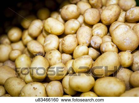 Close-up of potatoes in supermarket View Large Photo Image Stock Image - Close-up of potatoes in supermarket. Fotosearch