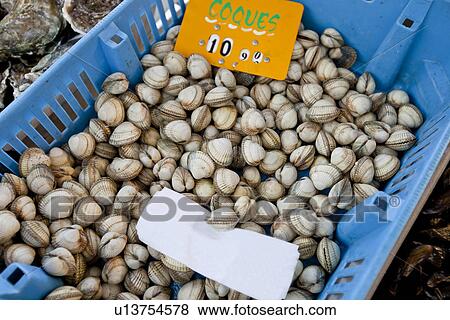 Stock Photo - Close-up of shellfish in container at store. Fotosearch