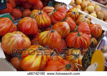 Close-up of tomatoes on display in store View Large Photo Image Stock Image - Close-up of tomatoes on display in store. Fotosearch