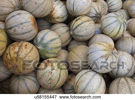 Stock Photo - Close-up view of melons in market. Fotosearch