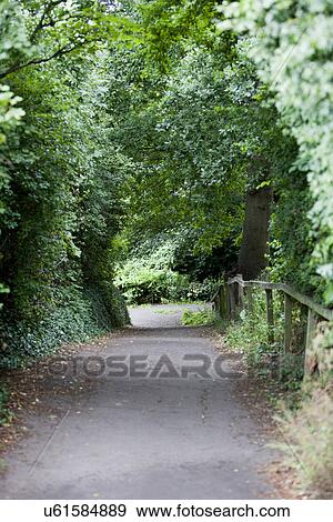 Country Lane in British Countryside View Large Photo Image Stock Photo - Country Lane in British Countryside. Fotosearch