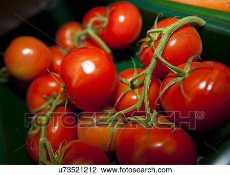 Stock Image - Fresh tomatoes in grocery store. Fotosearch
