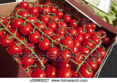 Fresh tomatoes on display at store View Large Photo Image Stock Photo - Fresh tomatoes on display at store. Fotosearch
