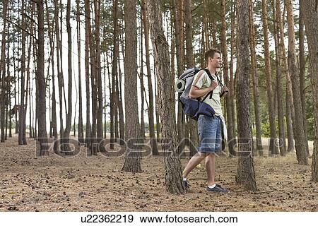 Full length of male backpacker trekking in forest View Large Photo Image Stock Photo - Full length of male backpacker trekking in forest. Fotosearch