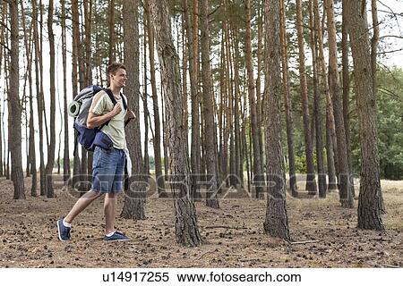 Full length of young man with backpack walking in forest View Large Photo Image Stock Photography - Full length of young man with backpack walking in forest. Fotosearch