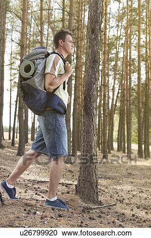 Full length side view of male hiker with backpack walking in forest View Large Photo Image Stock Image - Full length side view of male hiker with backpack walking in forest. Fotosearch