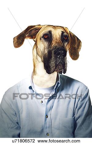 Stock Image - Grumpy dog's head on businessman body. Fotosearch