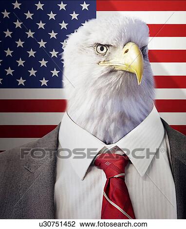 Head of an eagle on a businessman's body in front of American Stars and Stripes flag View Large Photo Image Stock Image - Head of an eagle on a businessman's body in front of American Stars and Stripes flag. Fotosearch