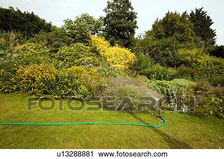 Stock Image - Hose in garden . Fotosearch