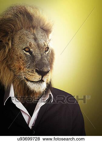 Lion dressed up with a shirt and jumper View Large Photo Image Stock Photo - Lion dressed up with a shirt and jumper. Fotosearch