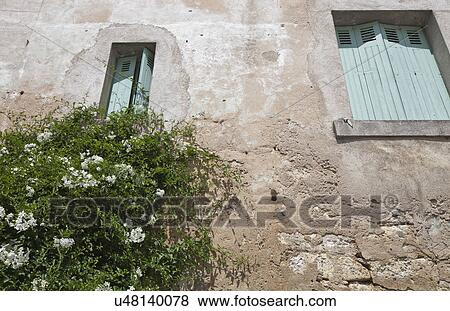 Stock Photo - Low angle view of stone wall house with flower plant growing in foreground. Fotosearch
