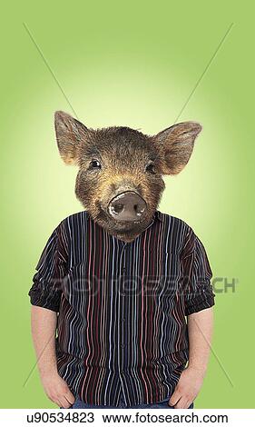 Overweight with pigs head View Large Photo Image Stock Image - Overweight with pigs head. Fotosearch